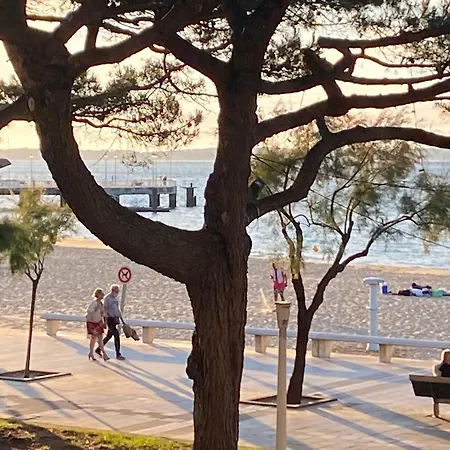 Apartment T3 Centre-ville Arcachon, Terrasse, Parking, Wifi - Fr-1-374-71 Arcachon