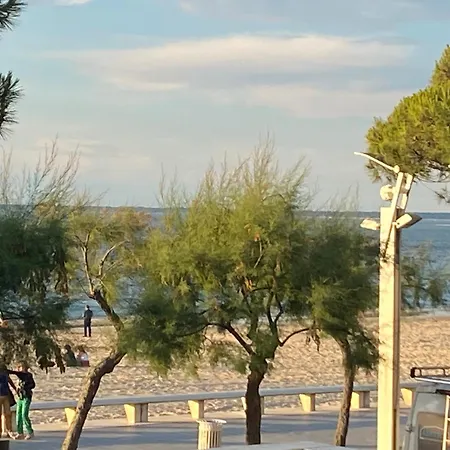 T3 Centre-ville Arcachon, Terrasse, Parking, Wifi - Fr-1-374-71 Apartment Arcachon